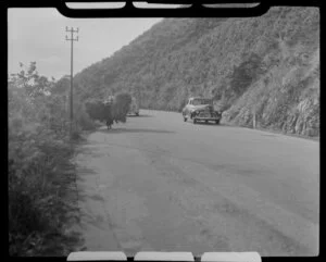 A road along a hill with two cars and a woman carrying bundles of hay, Hong Kong