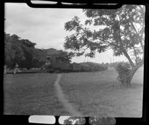 Train loaded with sugar cane, Ba, Fiji