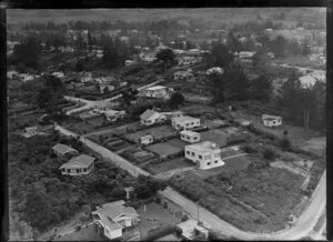 Browns Bay, North Shore City, Auckland, including houses and trees