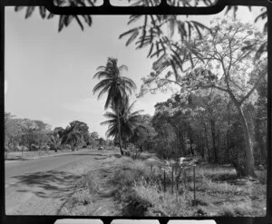 Utility vehicle driving along rural road, Darwin, Northern Territory, Australia, featuring native bush