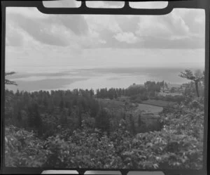 View over bush and trees to the sea, Norfolk Island