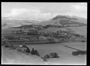 Horticultural area near Tukituki River outside Havelock North