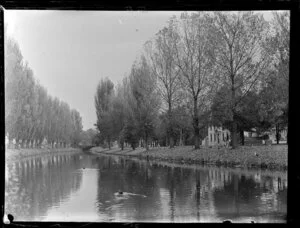 Avon River, Christchurch