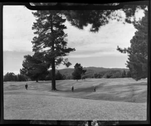 Golf links, Rotorua