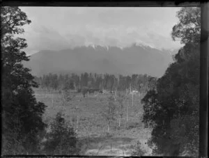 Rural scene in Westland