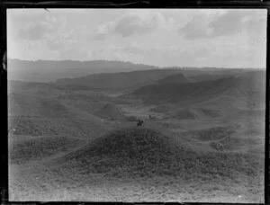 Horse and rider on a hill, Tokoroa