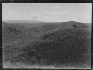 Horse and rider at Tokoroa