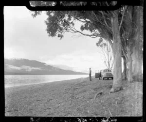 Lake Te Anau, Southland district