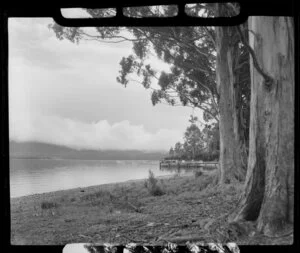 Lake Te Anau, Southland district