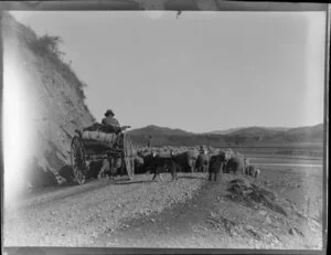 Horse and cart behind flock of sheep being driven along a rural road, including sheepdog, drover, and river valley in background, location unknown