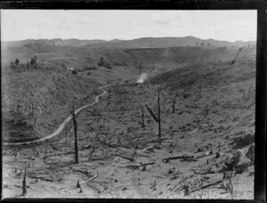 Deforestation and farmland, King Country, Waikato Region