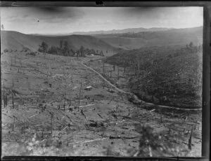 Deforestation and farmland, King Country, Waikato Region