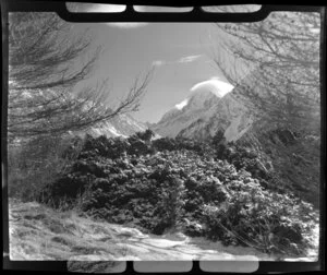 Mt Cook, South Canterbury