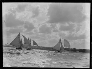 Yachts off Devonport, Waitmata Harbour, Auckland Region