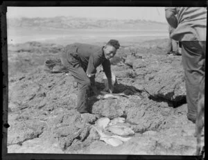 Unidentified Maori fisherman with his catch of fish, Ninety Mile Beach, Far North District, Northland Region