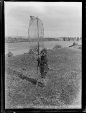 Whitebaiting, featuring unidentified Maori boy with whitebait net on banks of unidentified river, Bay of Plenty Region