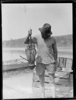 Unidentified man holding up large crayfish on a beach, Bay of Islands, Far North District, Northland Region