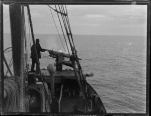 Whaling boat pursuing whale, featuring unidentified man and harpoon, Bay of Islands, Far North District, Northland Region