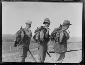 Duck shooting, featuring unidentified hunters who are wearing hats and holding guns and duck carcasses, location unknown