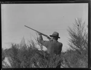 Duck shooting, featuring unidentified hunter taking aim with his gun, location unknown