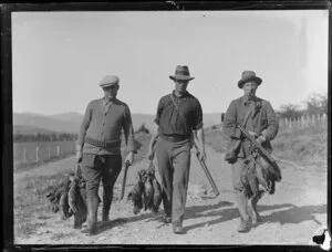 Duck shooting, featuring unidentified hunters walking along rural road carrying guns and dead ducks, and wearing hats, location unknown