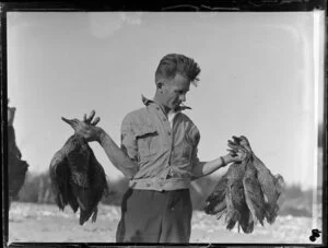 Duck shooting, featuring unidentified hunter holding dead ducks, location unknown
