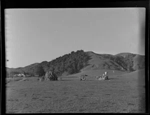 Auckland Aviation Services aerial topdressing, Clevedon