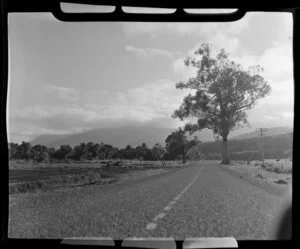 Kaikoura Coast Road, Marlborough