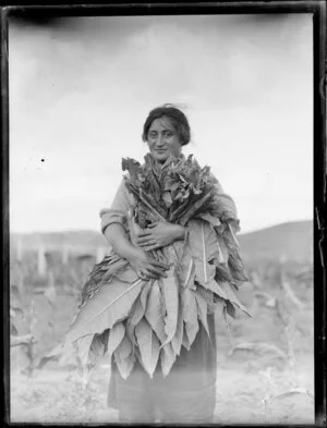 Unidentified Maori woman holding tobacco leaves, Rotorua area, Bay of Plenty Region
