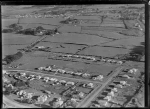 Housing in Papatoetoe, Auckland