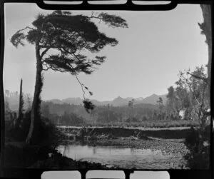 Buller River, south of Westport