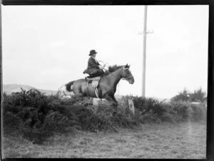 Unidientified woman and horse jumping a gorse hedge at the Pakuranga point to point hunt, Auckland