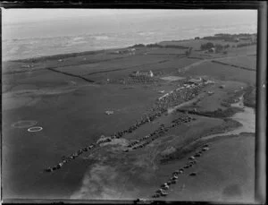 An event at the Mangere Aero Club, Mangere Aerodrome, Auckland