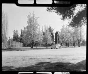 Wairakei Hotel grounds, Taupo