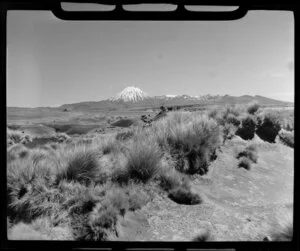 Mount Ngauruhoe and Tongariro from the Desert Road