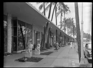 Building exterior and palm trees, Honolulu, Hawaii