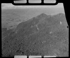 Te Aroha Mountain, Waikato