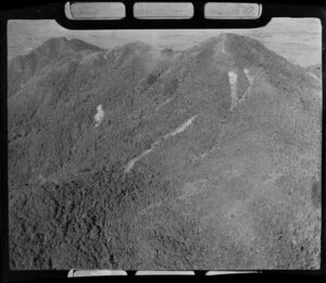 Te Aroha Mountain, Waikato