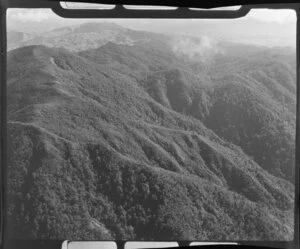 Te Aroha Mountain, Waikato