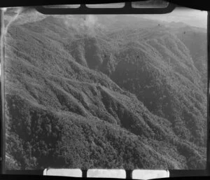 Te Aroha Mountain, Waikato