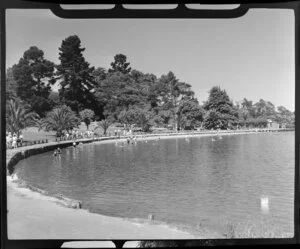 Hamilton Lake, Waikato