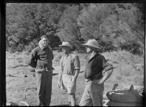 Topdressing group, Ponui Island, Hauraki Gulf, Auckland