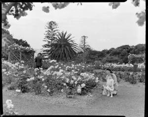 Rose gardens, Parnell, Auckland