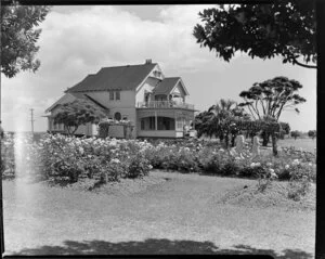 Rose gardens, Parnell, Auckland