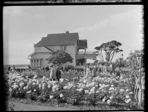 Rose gardens, Parnell, Auckland