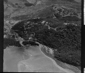 Waitakere Ranges estuary