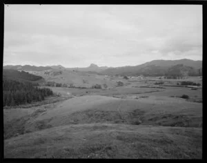 Rural scenes, Tairua, Waikato