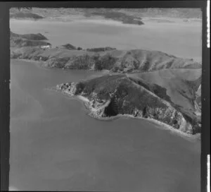 Whanganui Island, Coromandel Harbour