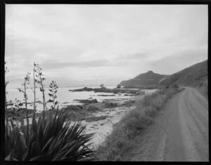 Kuaotunu coastline, Waikato