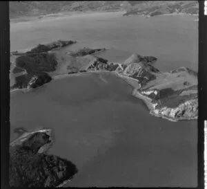 Motutapere and Whanganui Islands, Coromandel Harbour